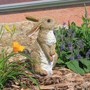 Image Thumbnail for DT HOPPER THE BUNNY GARDEN RABBIT STATUE
